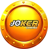 3_Provider-Joker